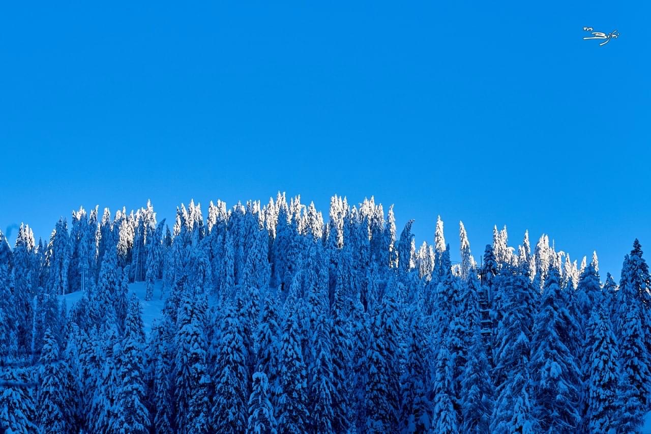 Neve a Madonna di Campiglio