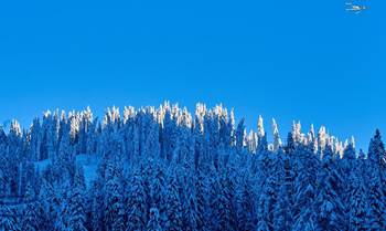 Neve a Madonna di Campiglio